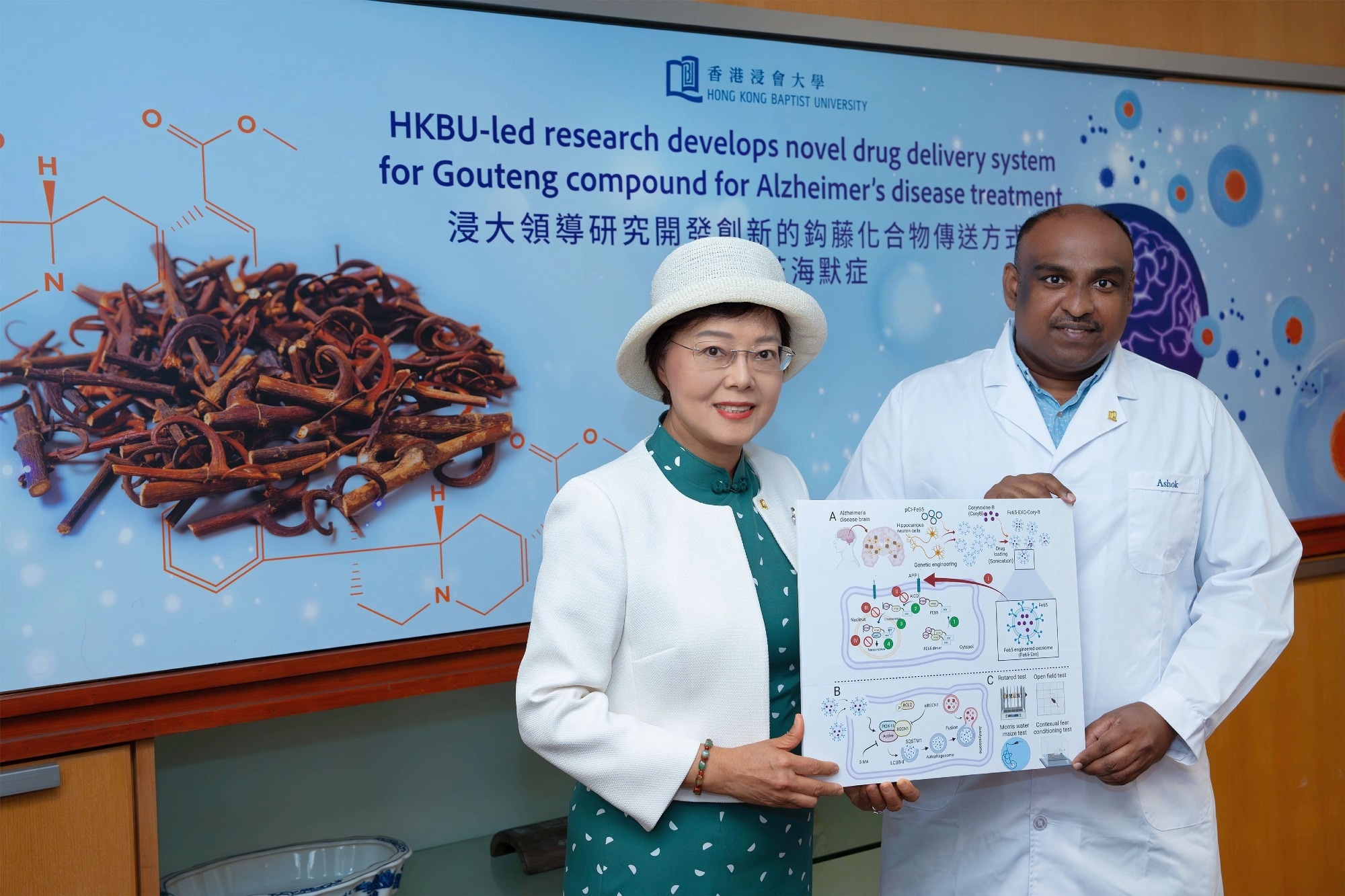 Researchers develop novel exosome-based drug delivery system to treat Alzheimer's disease