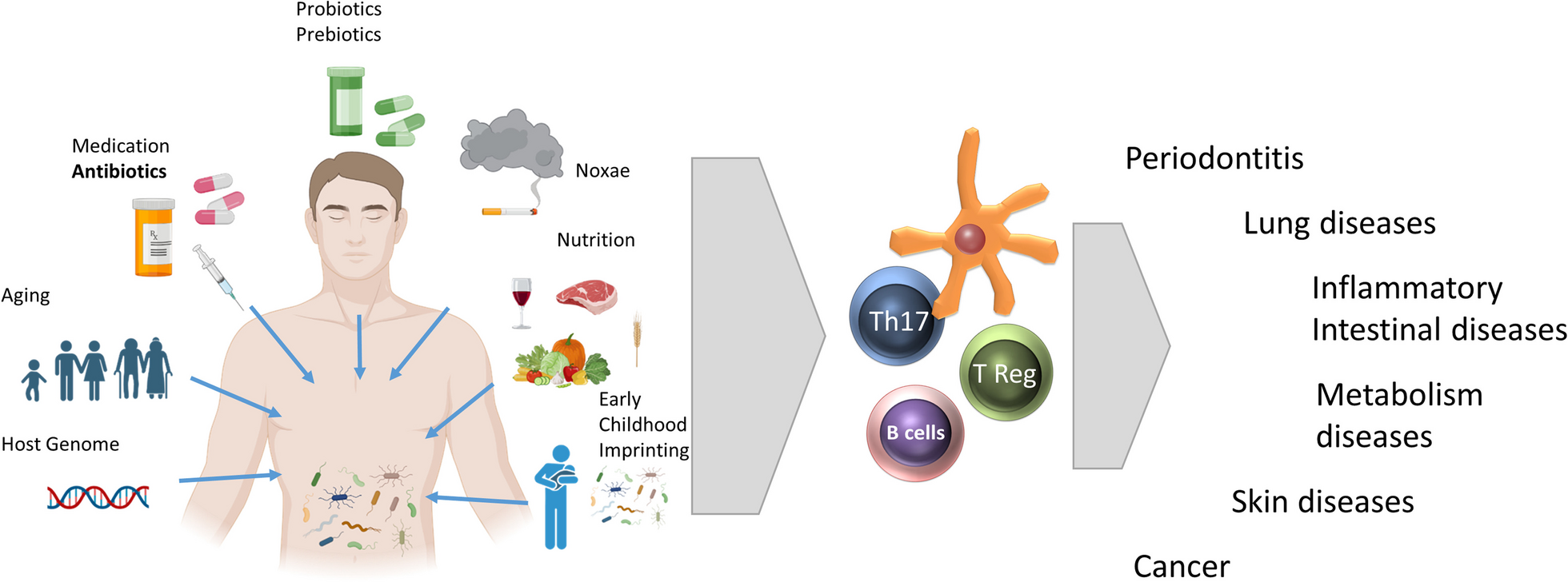 Microbes little helpers and suppliers for therapeutic asthma approaches