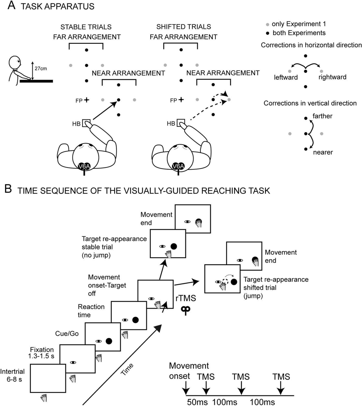 rTMS over the human medial parietal cortex impairs online reaching corrections
