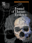 Modern human atlas ranges of motion and Neanderthal estimations