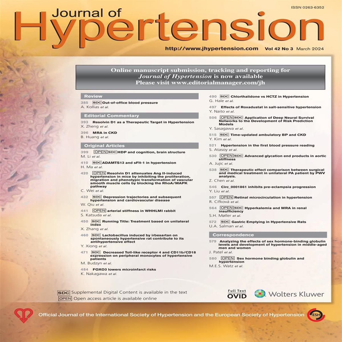 Mineralocorticoid receptor antagonist for chronic kidney disease, risk or benefit?