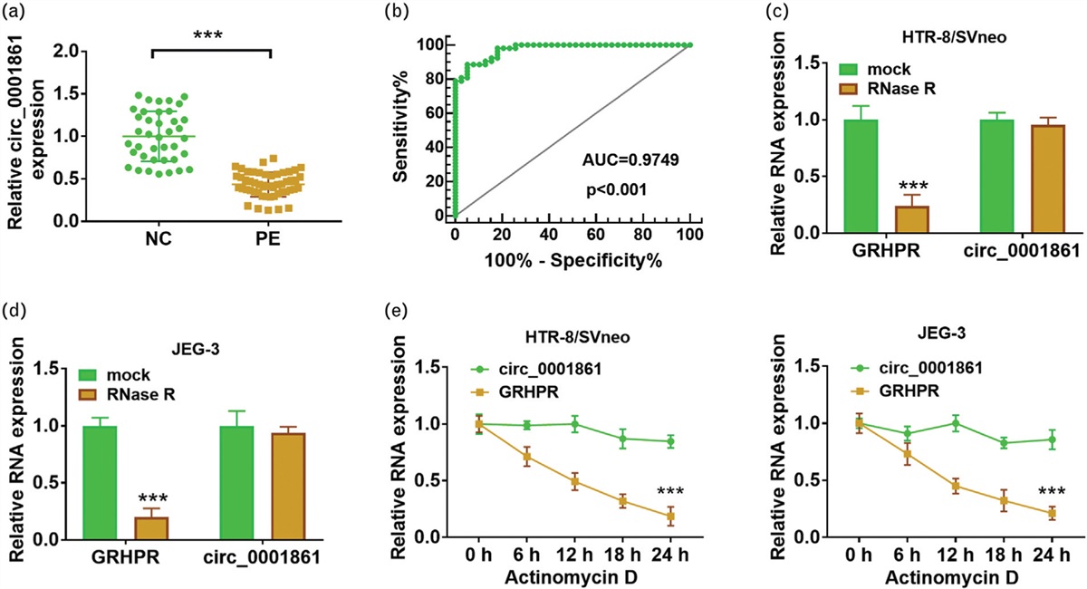 Circ_0001861 facilitates trophoblast cell proliferation, migration, invasion and epithelial-mesenchymal transition via the miR-296-5p/forkhead box protein 1 pathway in preeclampsia