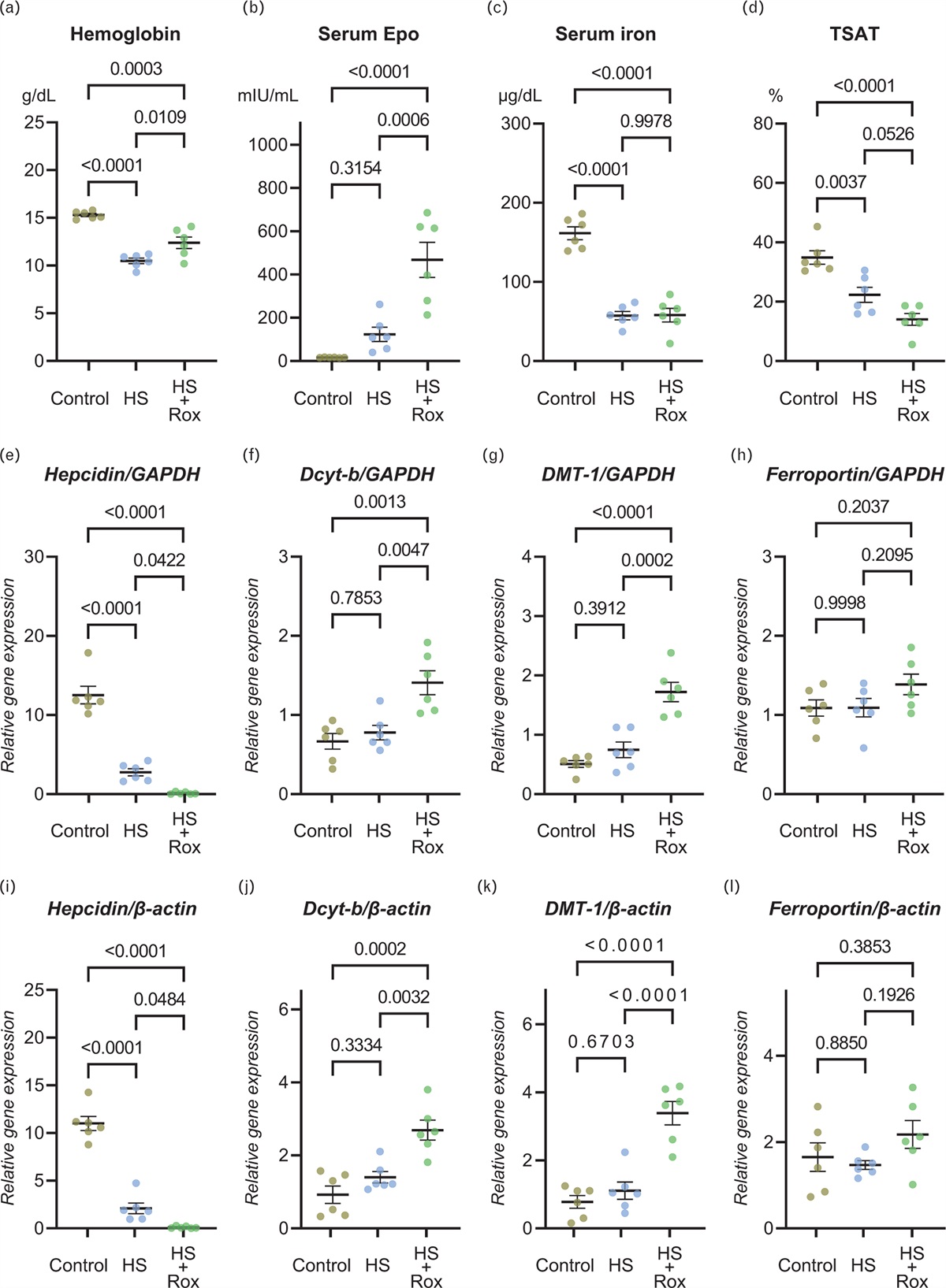 Hypoxia-inducible factor-prolyl hydroxylase inhibitor Roxadustat (FG-4592) reduces renal fibrosis in Dahl salt-sensitive rats
