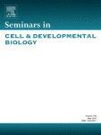 Stress granule and P-body clearance: Seeking coherence in acts of disappearance
