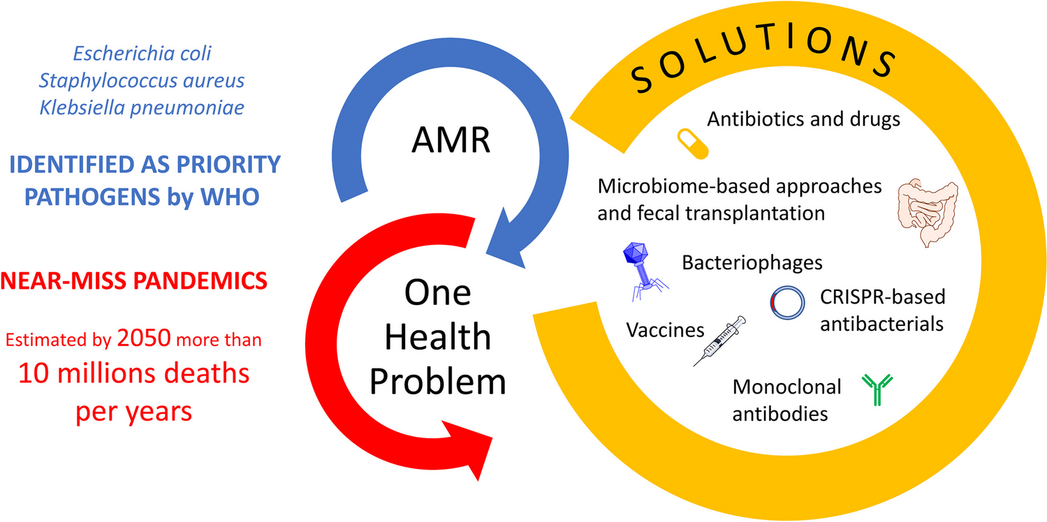 The overlooked bacterial pandemic
