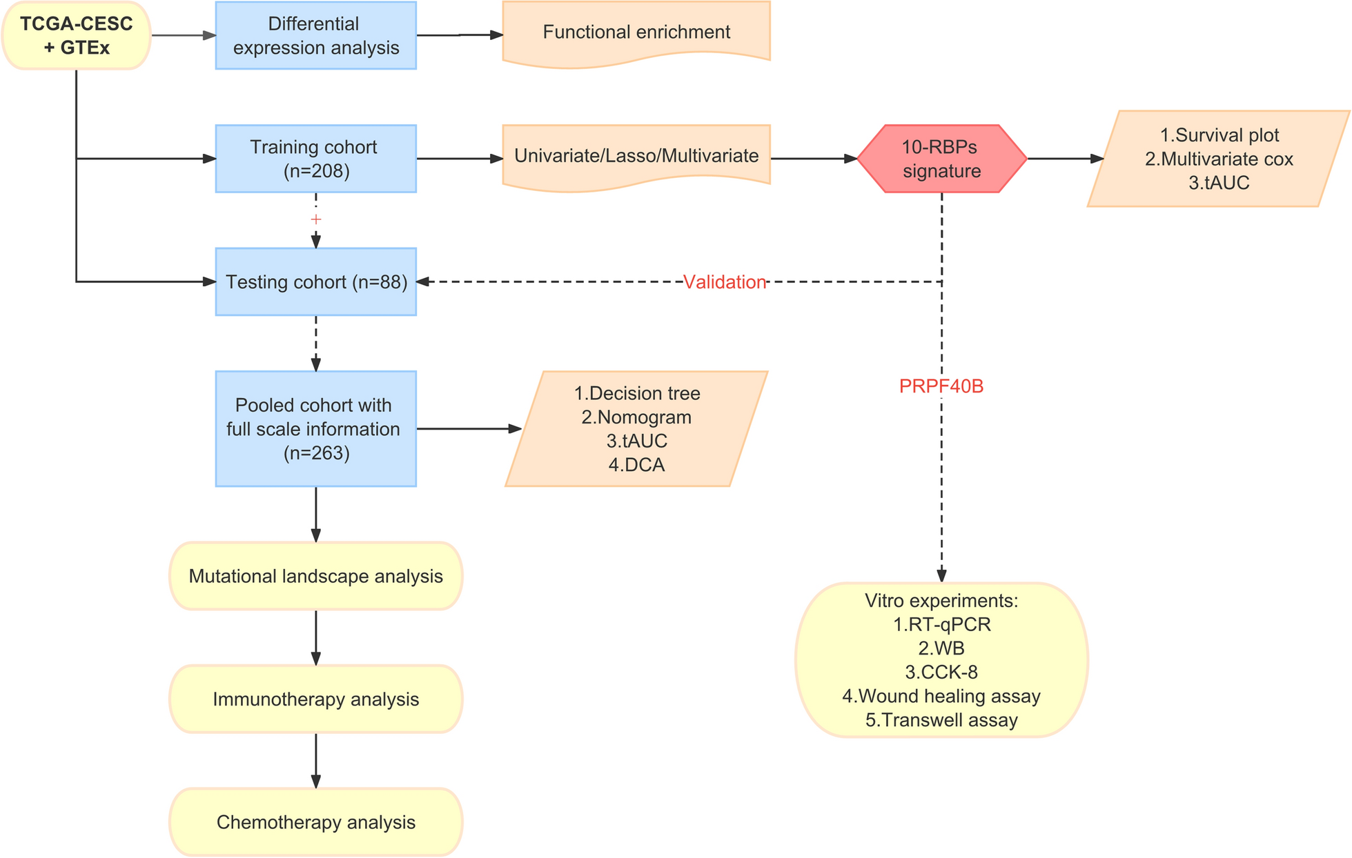 RNA-binding proteins signature is a favorable biomarker of prognosis, immunotherapy and chemotherapy response for cervical cancer