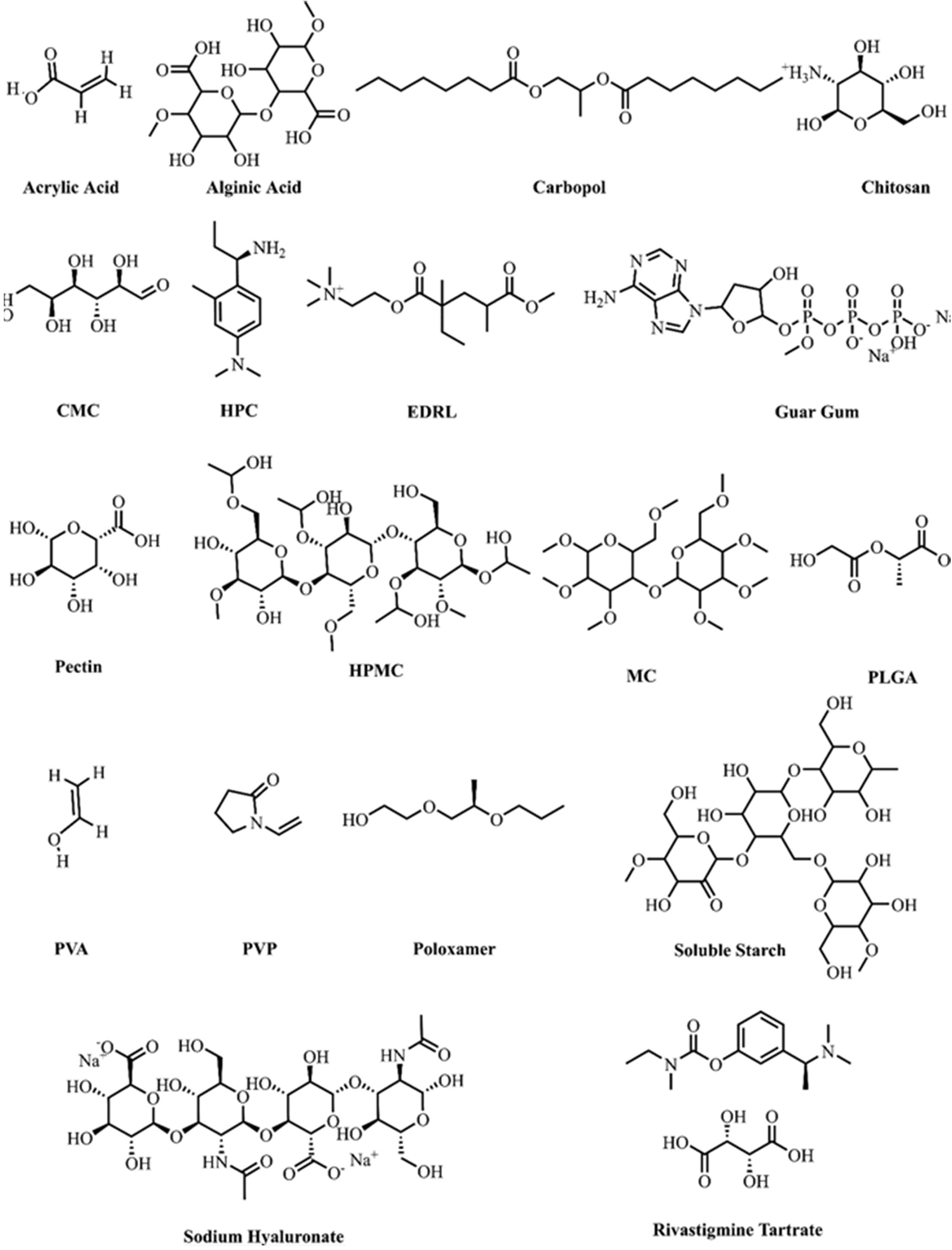 Veracity of In Silico Approach for Designing Rivastigmine-Polymer Nano Complexes for Intranasal Delivery: Prediction and In Vitro Validation