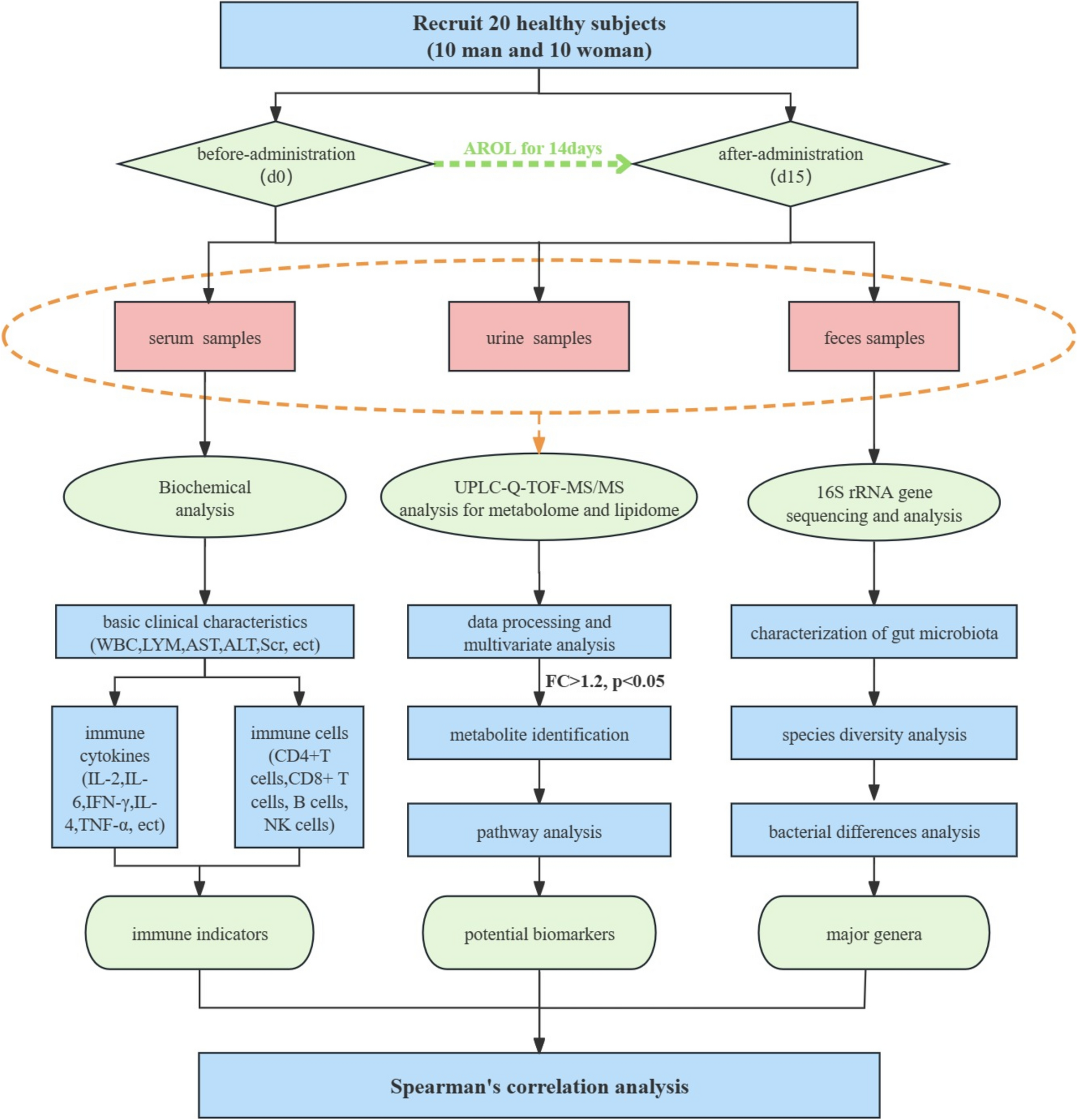 Integrated analysis of metabolome, lipidome, and gut microbiome reveals the immunomodulation of Astragali radix in healthy human subjects