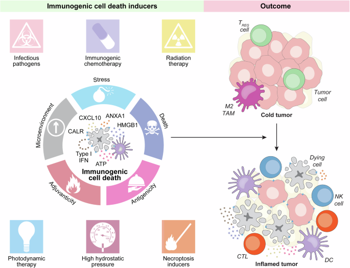 Immunogenicity of cell death and cancer immunotherapy with immune checkpoint inhibitors