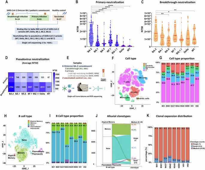 Children exhibit a robust B-cell response to Omicron BA.2 after breakthrough infection with limited influence from the original antigenic sin