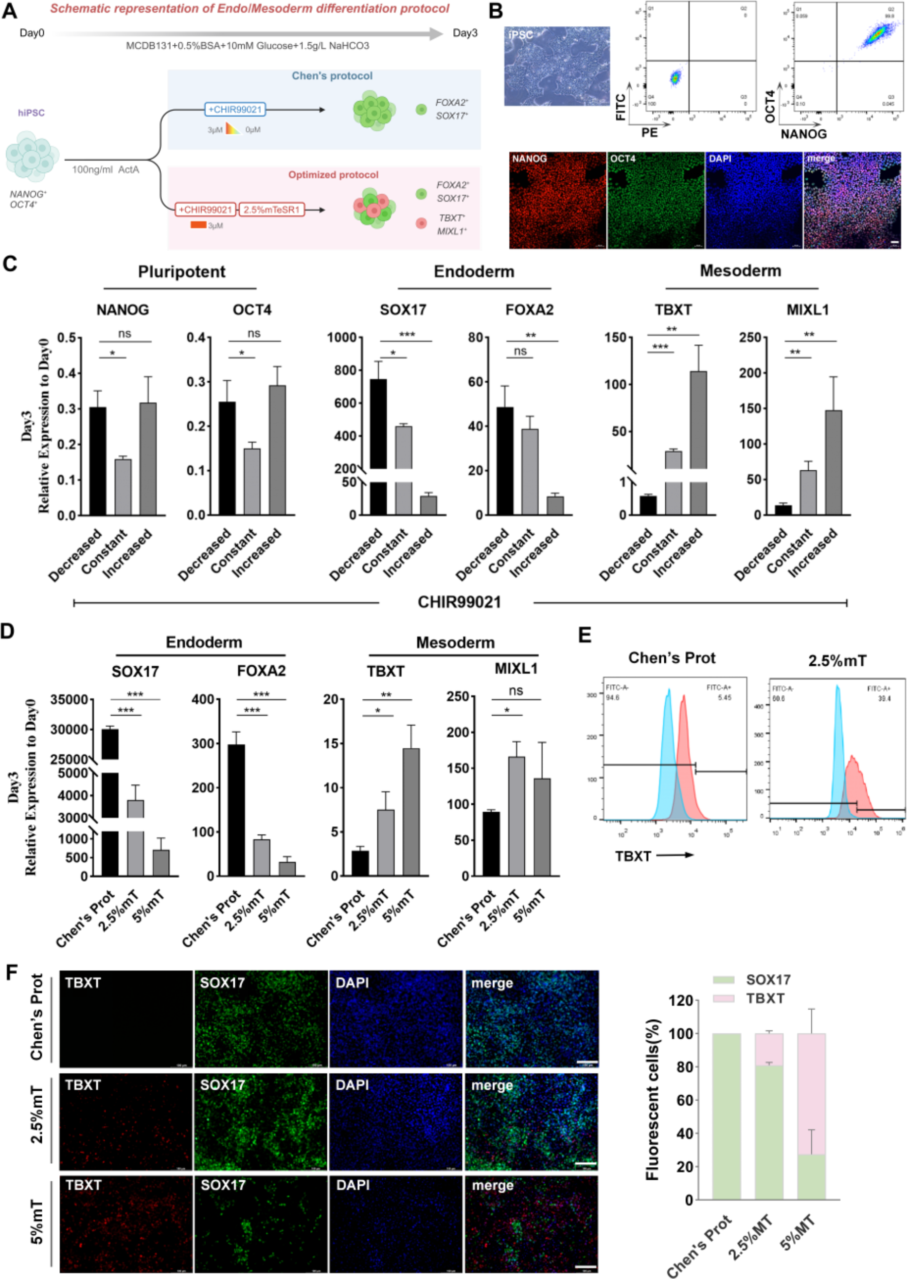 Generation of vascularized pancreatic progenitors through co-differentiation of endoderm and mesoderm from human pluripotent stem cells