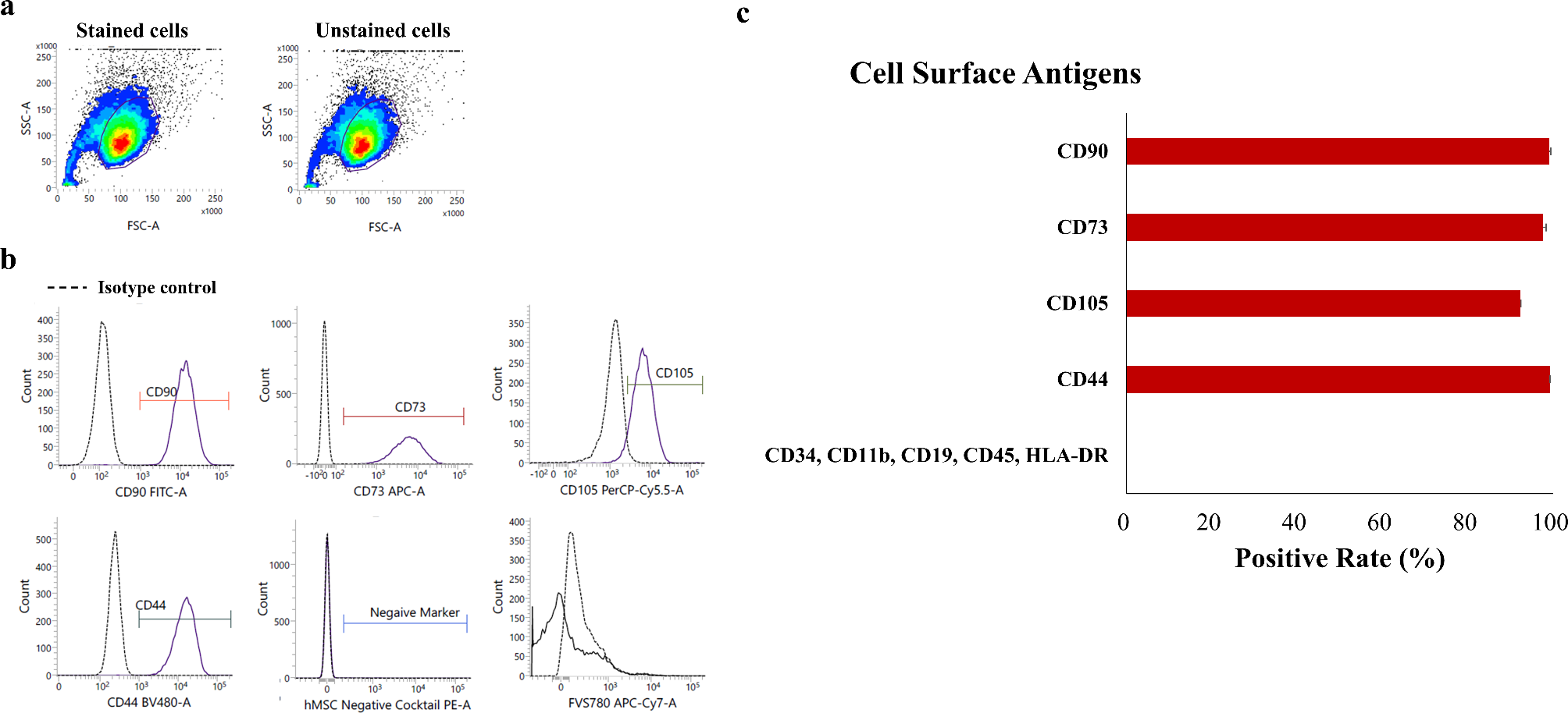 Preclinical study of novel human allogeneic adipose tissue-derived mesenchymal stem cell sheets toward a first-in-human clinical trial for myopic chorioretinal atrophy