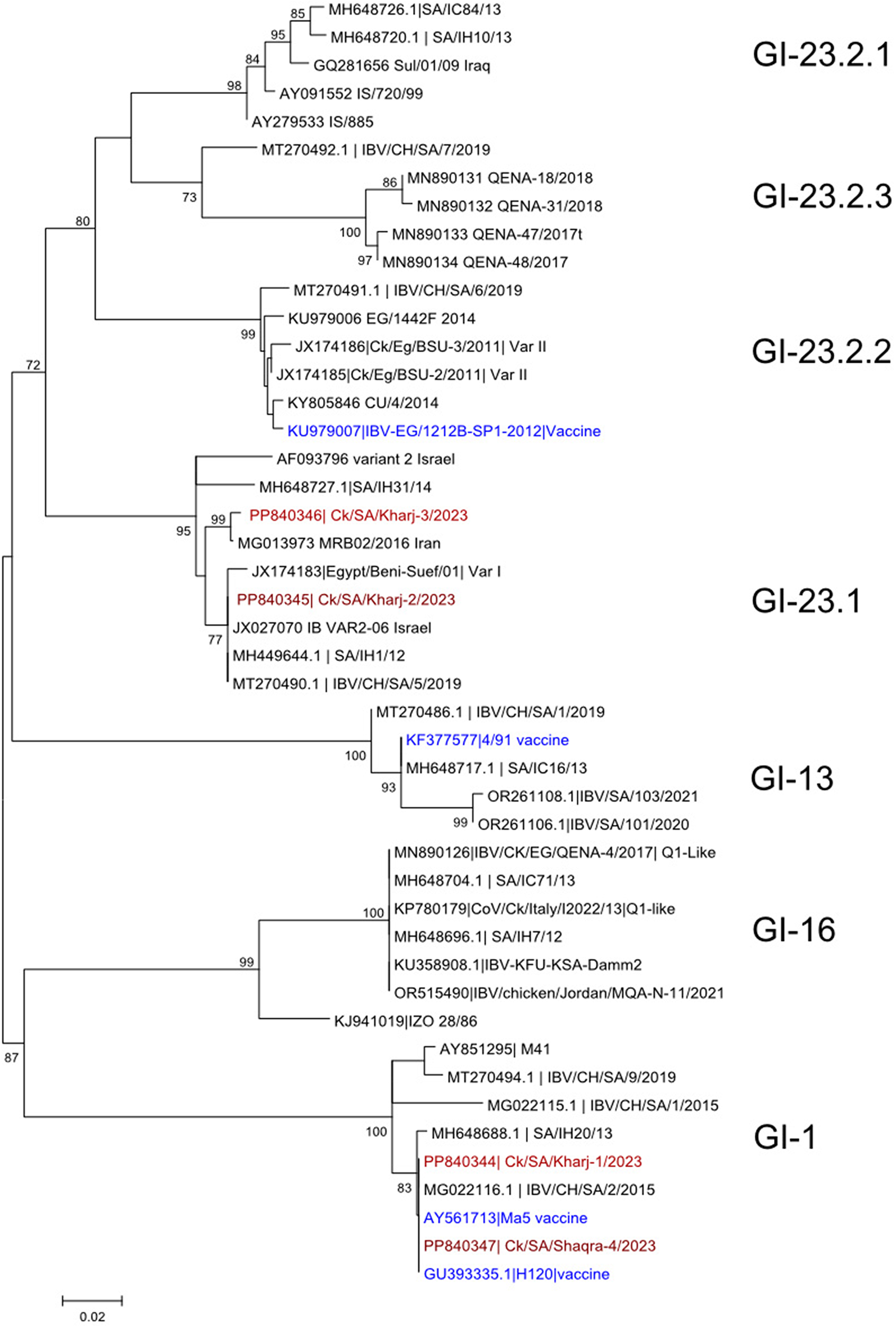 Full-length genome reveals genetic diversity and extensive recombination patterns of Saudi GI-1 and GI-23 genotypes of infectious bronchitis virus