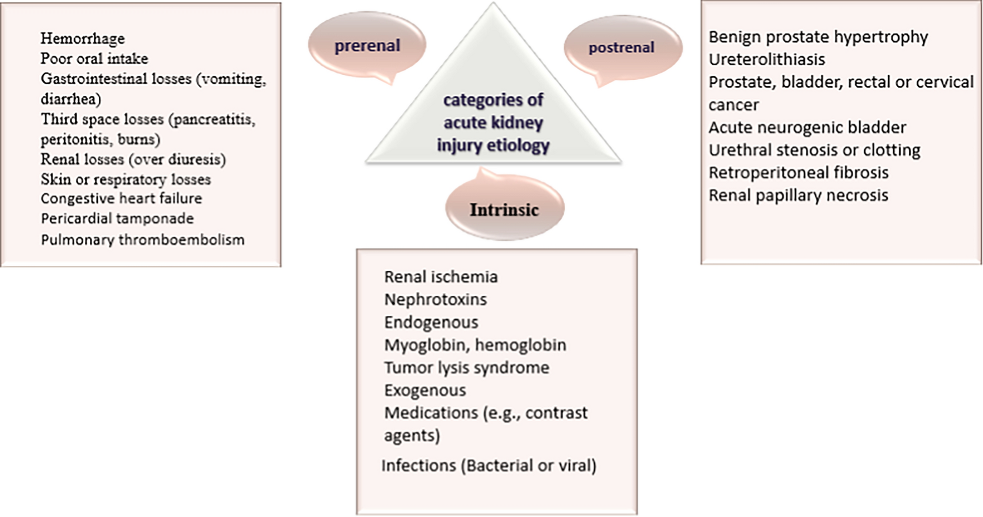 BK Polyomavirus and acute kidney injury in transplant recipients: signaling pathways and molecular mechanisms