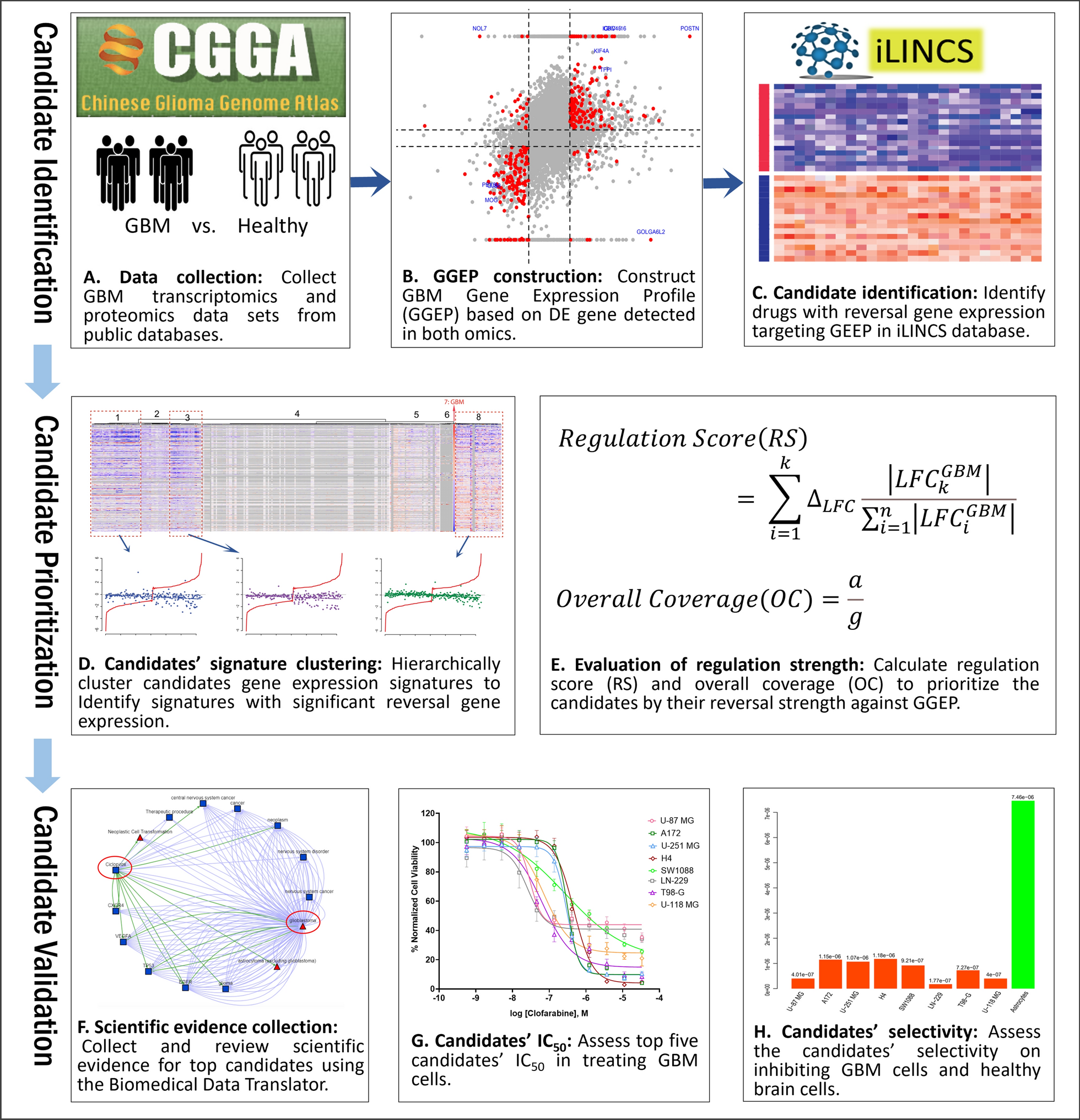 Reversal gene expression assessment for drug repurposing, a case study of glioblastoma