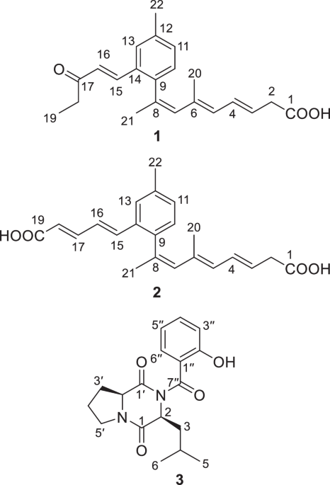 Cryptoic acids A and B, benzene-containing polyketides, and cyclocryptamide, a modified diketopiperazine, from an actinomycete of the genus Cryptosporangium