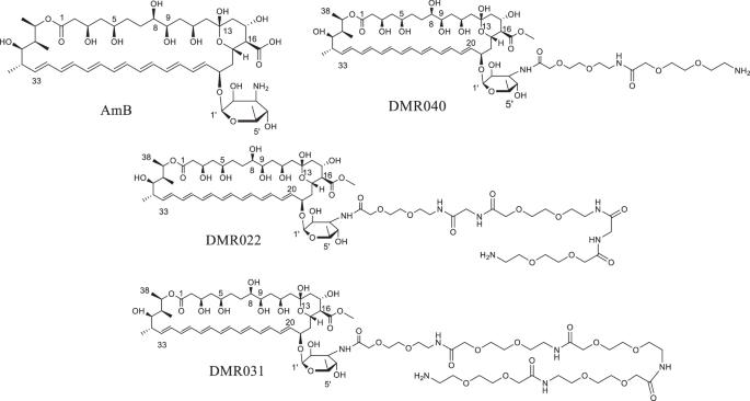 DMR040, a potential antifungal compound