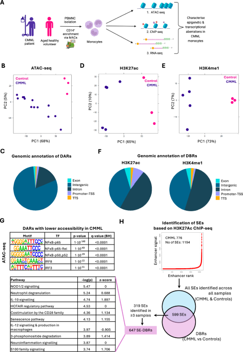 Multi-omic analysis of chronic myelomonocytic leukemia monocytes reveals metabolic and immune dysregulation leading to altered macrophage polarization