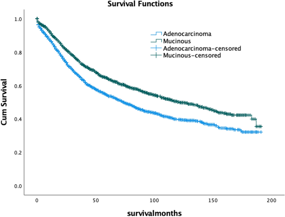 Analysis of survival and prognostic factors in appendix adenocarcinoma and mucinous carcinoma