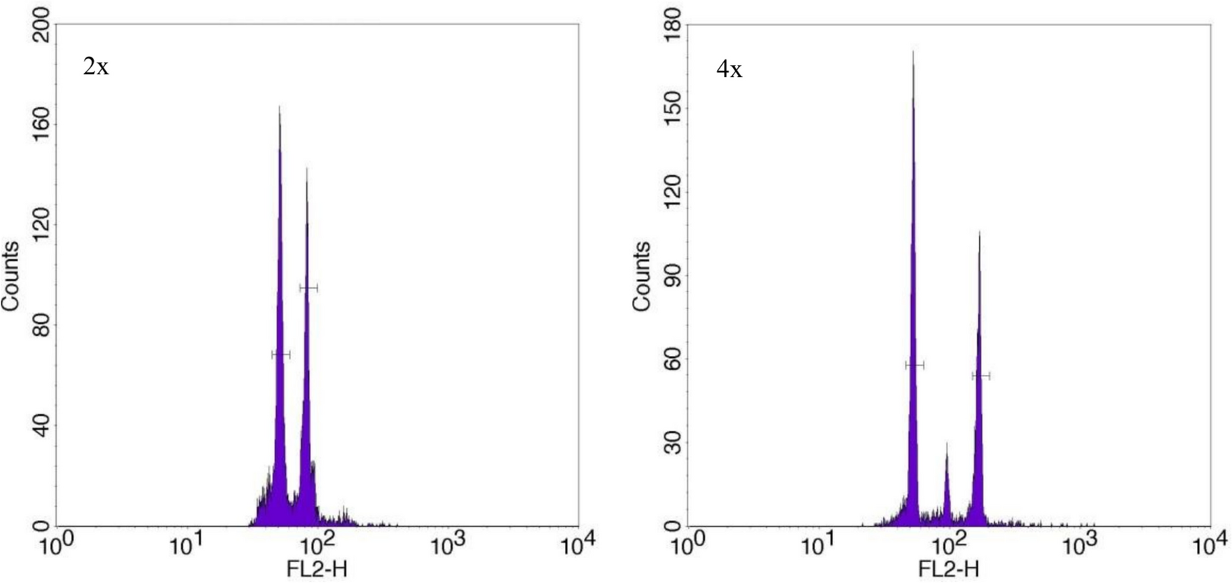 In vitro induction and characterization of Anthurium andraeanum ‘Pink Champion’ tetraploids