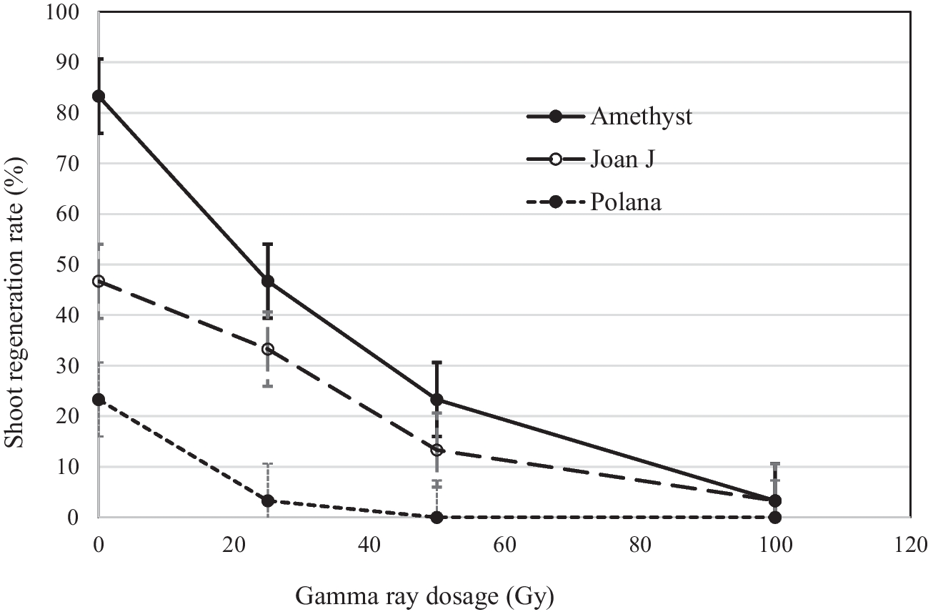 In vitro mutation induction of raspberry species (Rubus) using gamma ray irradiation