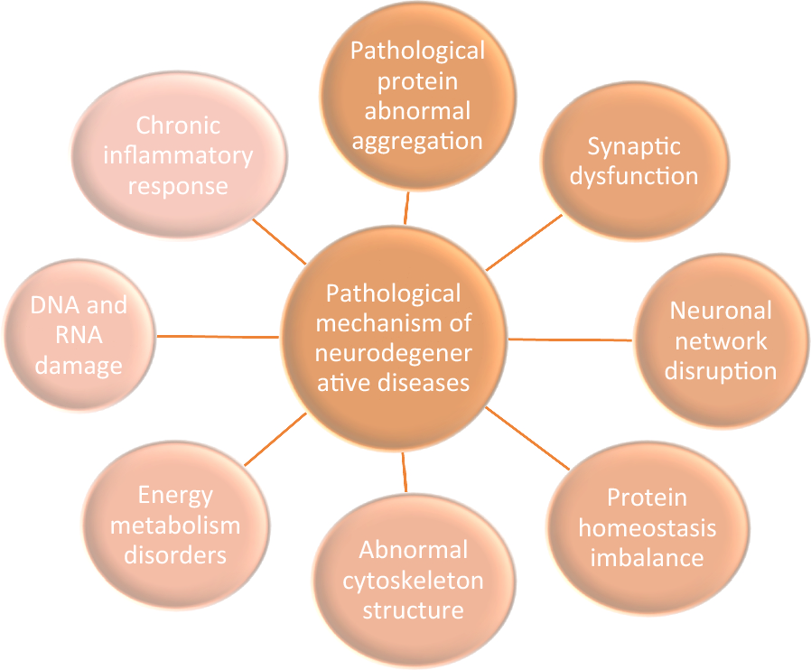 Relationship between enriched environment and neurodegeneration: a review from mechanism to therapy