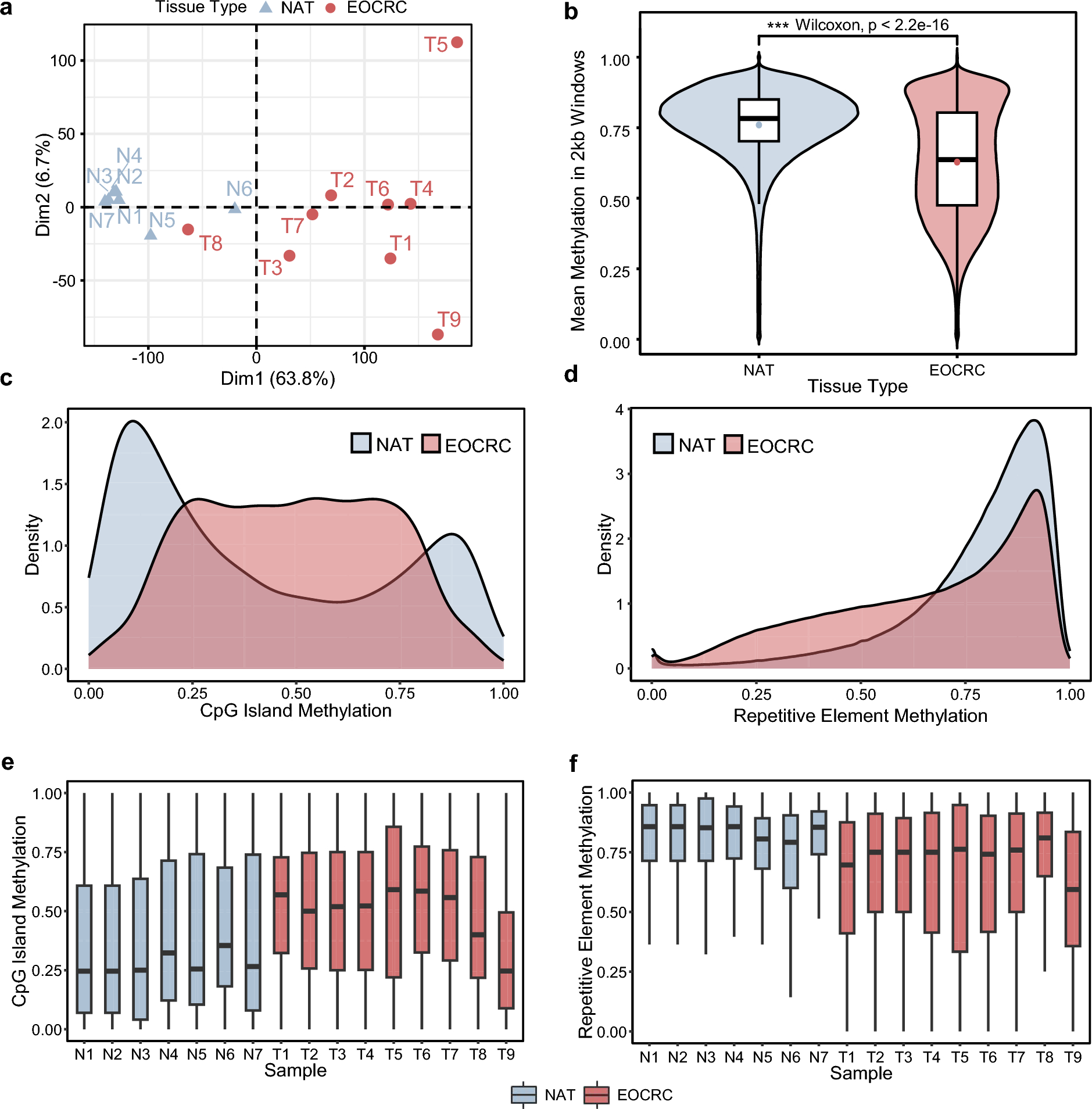DNA methylation profiling at base-pair resolution reveals unique epigenetic features of early-onset colorectal cancer in underrepresented populations