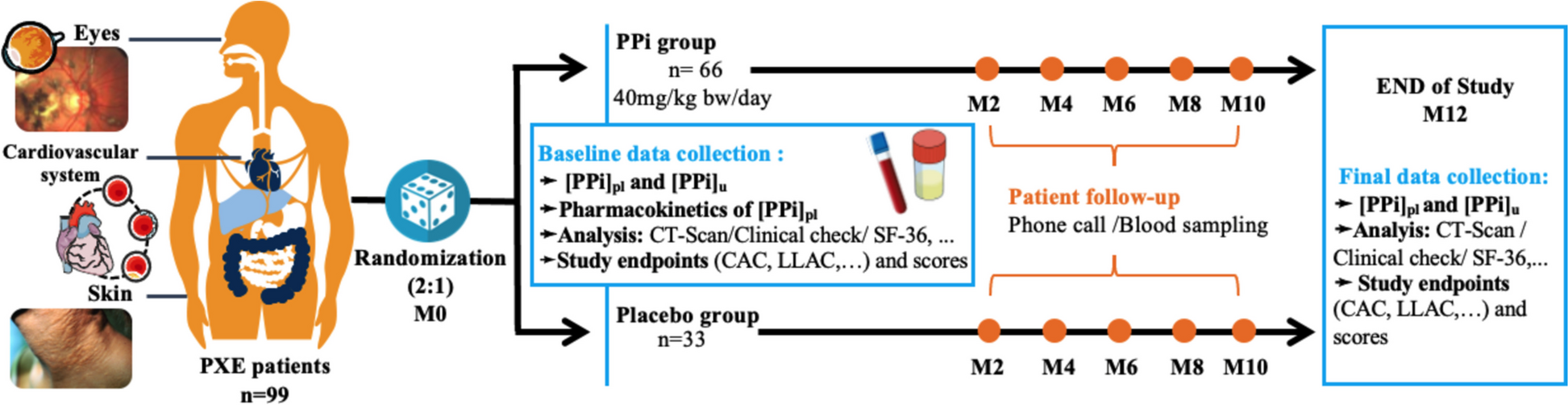 The PROPHECI trial: a phase II, double-blind, placebo-controlled, randomized clinical trial for the treatment of pseudoxanthoma elasticum with oral pyrophosphate