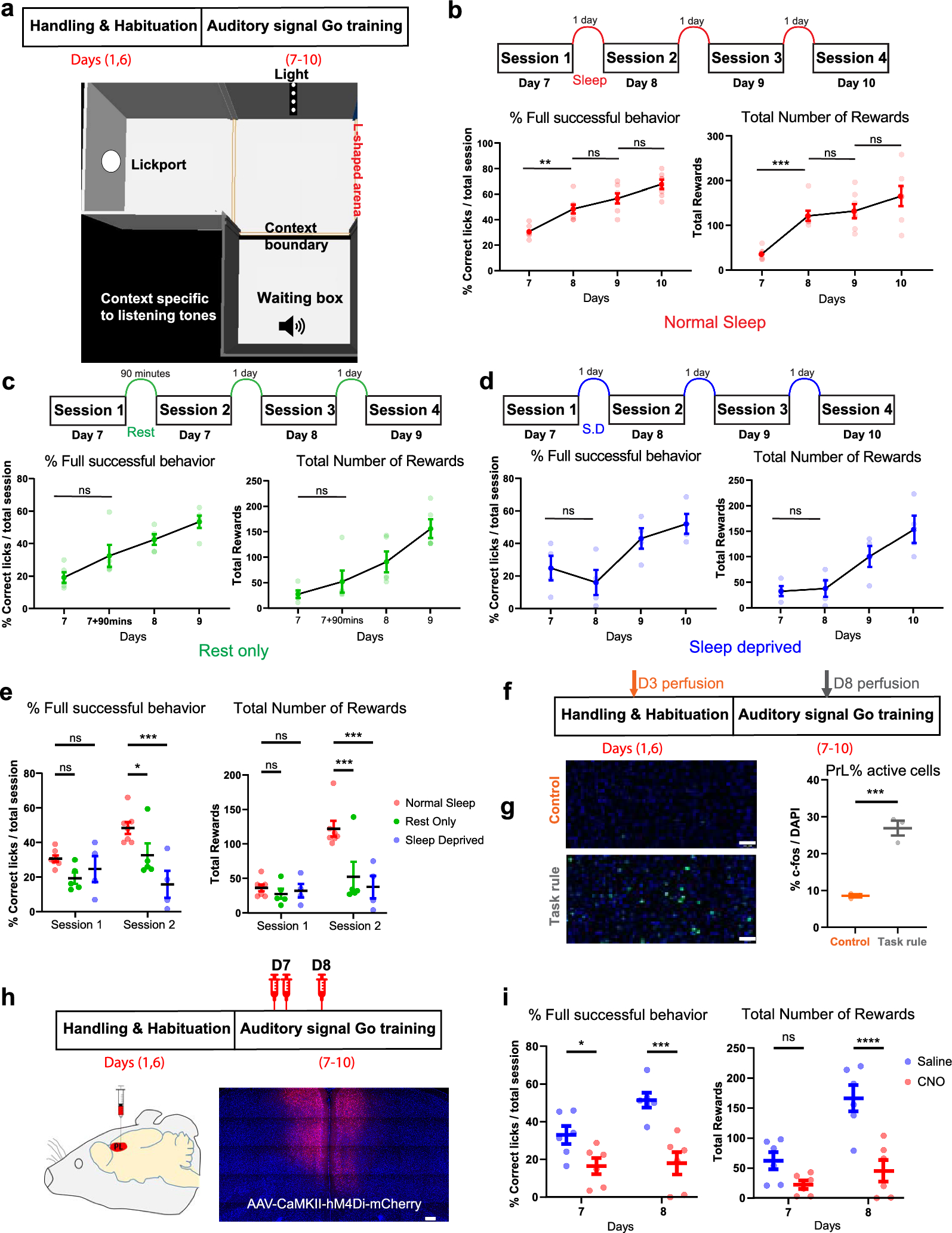 Sleep-driven prefrontal cortex coordinates temporal action and multimodal integration