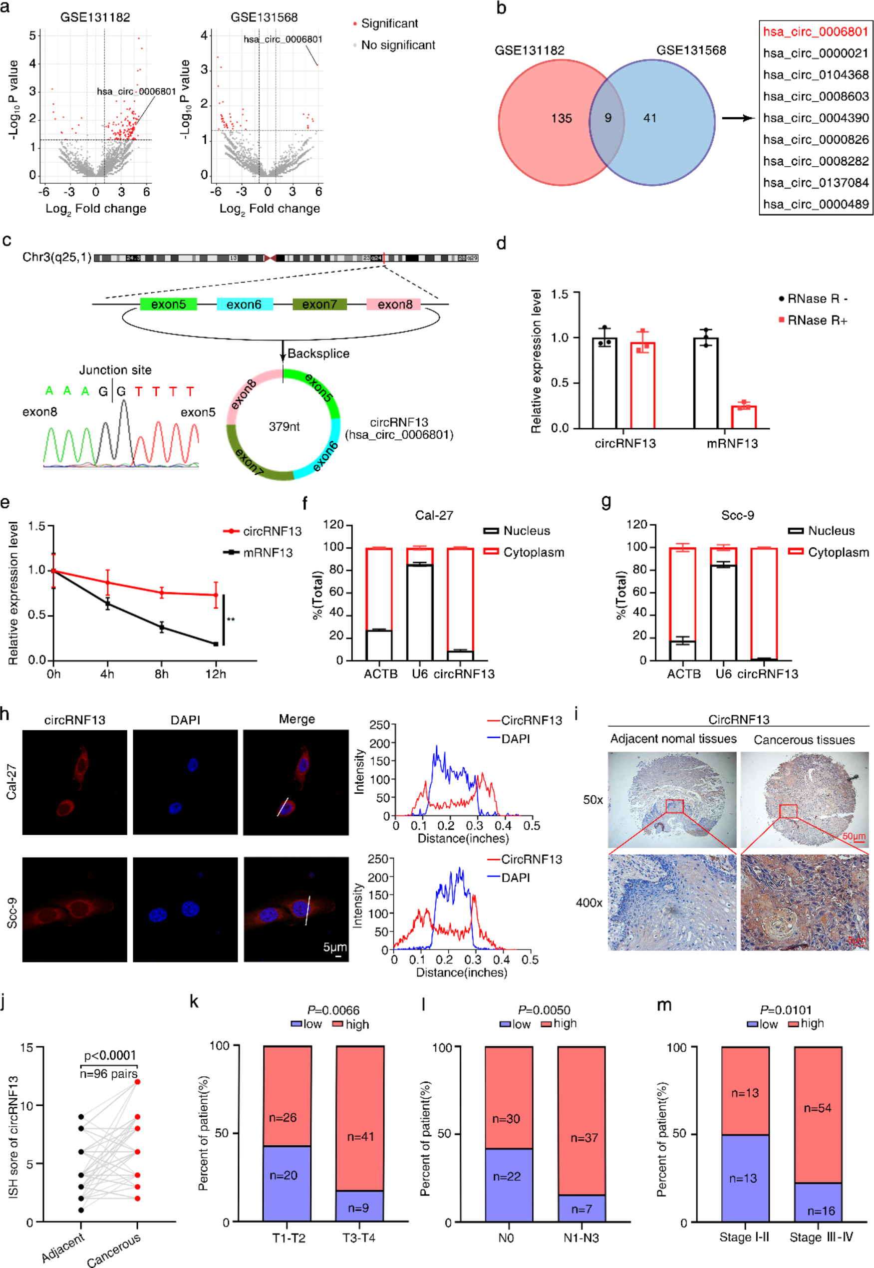 CircRNF13 enhances IGF2BP1 phase separation-mediated ITGB1 mRNA stabilization in an m6A-dependent manner to promote oral cancer cisplatin chemoresistance