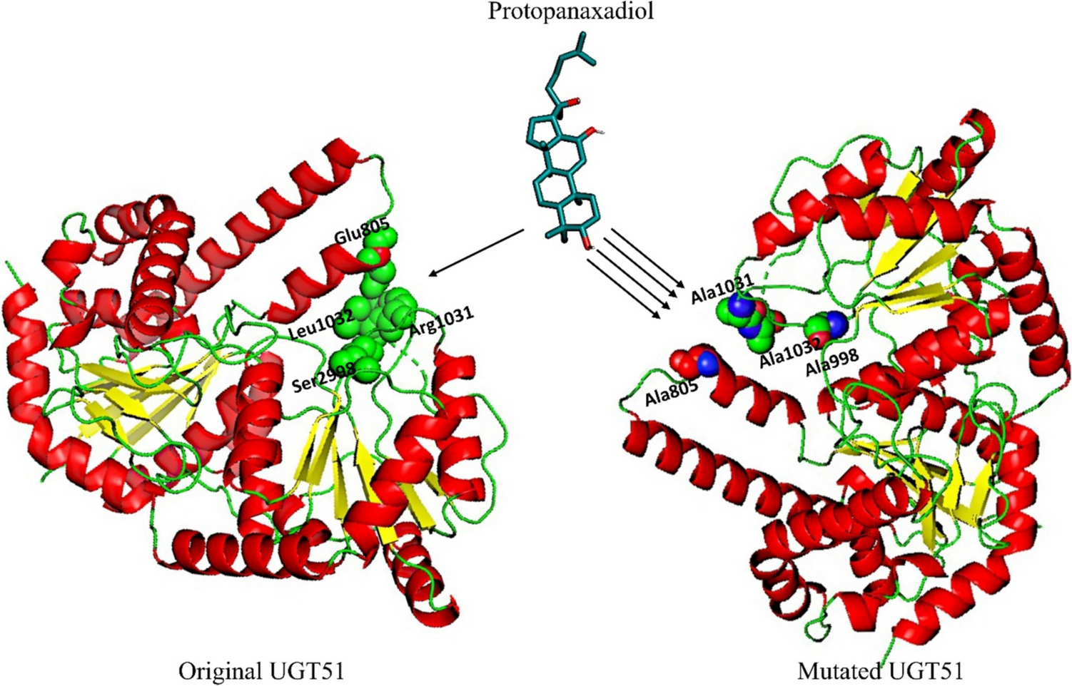 Boosting the catalytic efficiency of UGT51 for efficient production of rare ginsenoside Rh2