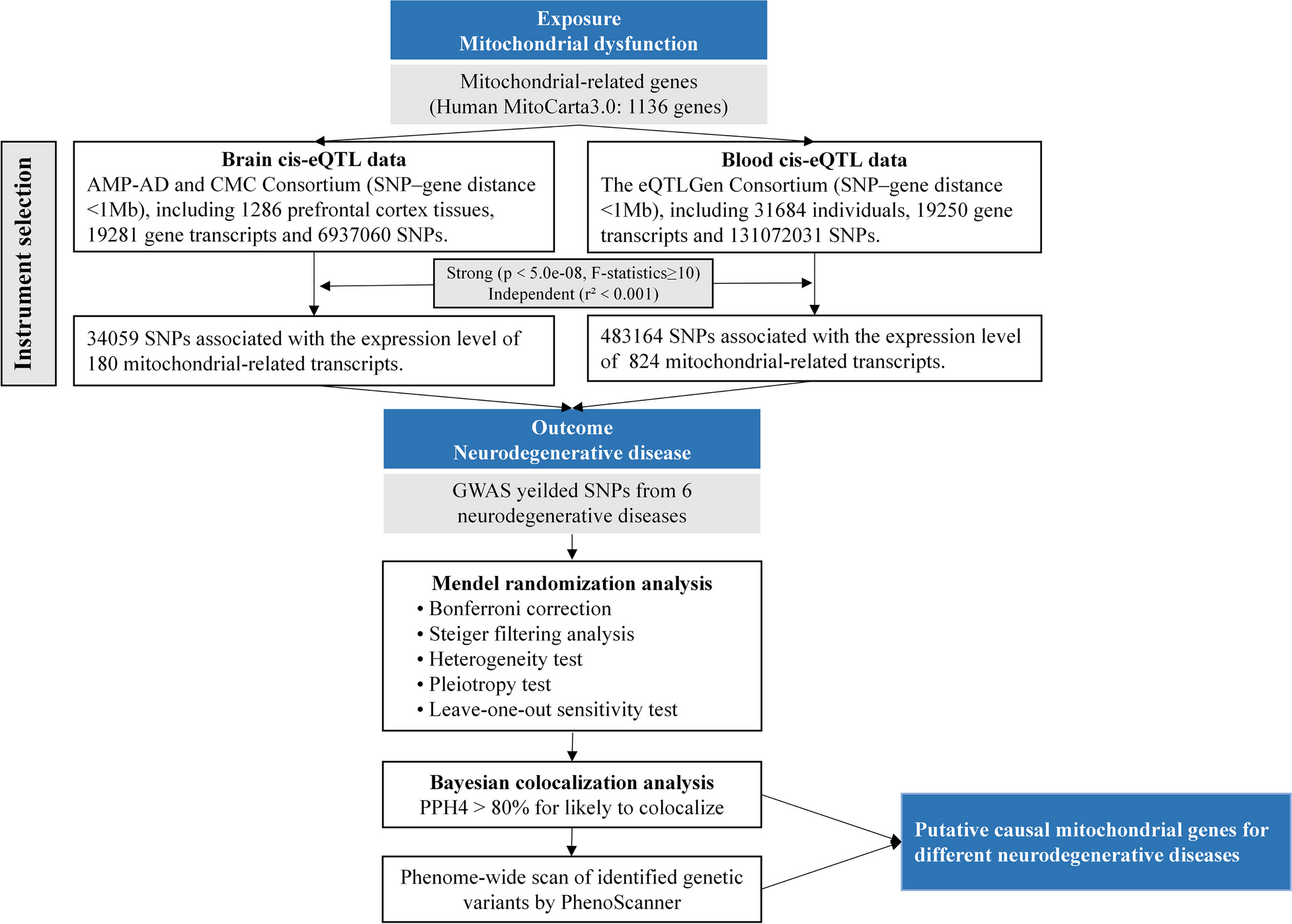 Identification of Potential Causal Genes for Neurodegenerative Diseases by Mitochondria-Related Genome-Wide Mendelian Randomization