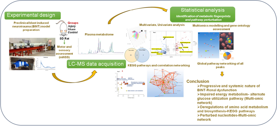 Mild Blast Exposure Dysregulates Metabolic Pathways and Correlation Networking as Evident from LC–MS-Based Plasma Profiling