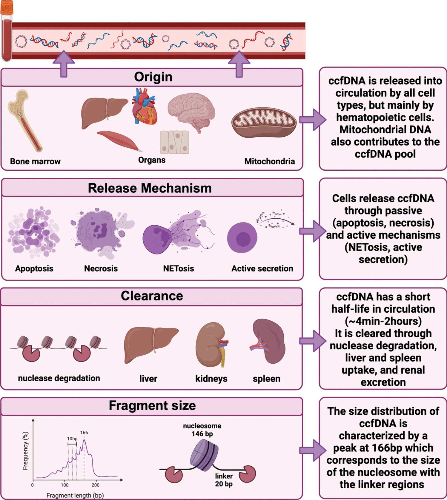 Liquid Biopsy in Neuropsychiatric Disorders: A Step Closer to Precision Medicine