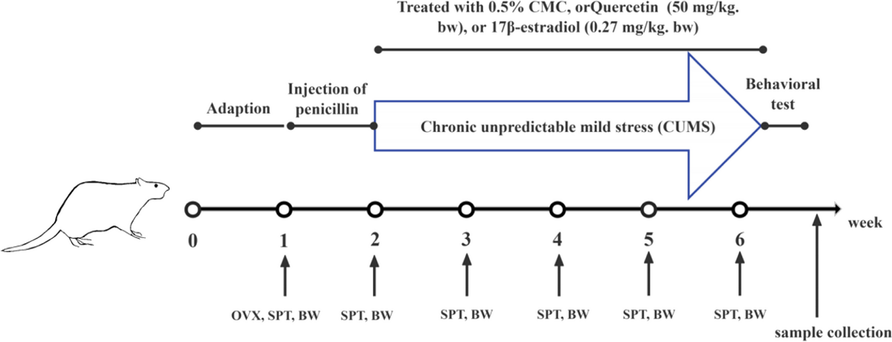 Untargeted Metabolomics Revealed that Quercetin Inhibited Ferroptosis by Improving Metabolic Disorder in the Hippocampus of Perimenopausal Depression Model Rats