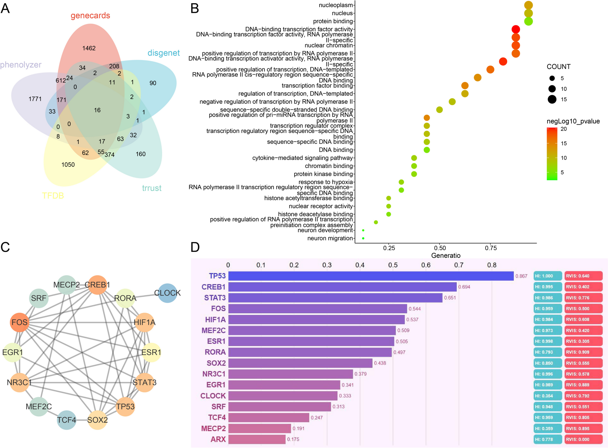 SRF Facilitates Transcriptional Inhibition of Gem Expression by m6A Methyltransferase METTL3 to Suppress Neuronal Damage in Epilepsy