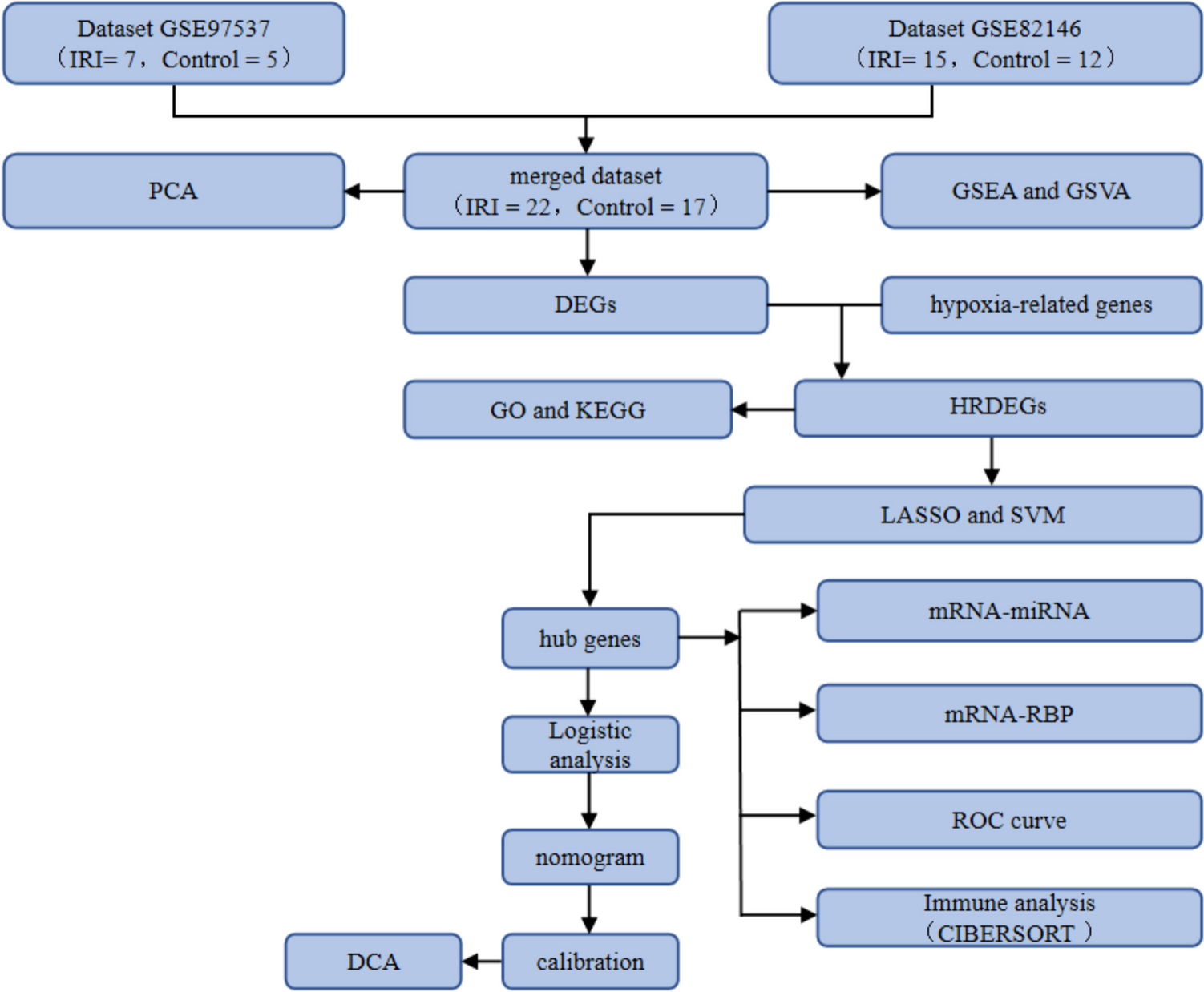 The Use of Identified Hypoxia-related Genes to Generate Models for Predicting the Prognosis of Cerebral Ischemia‒reperfusion Injury and Developing Treatment Strategies