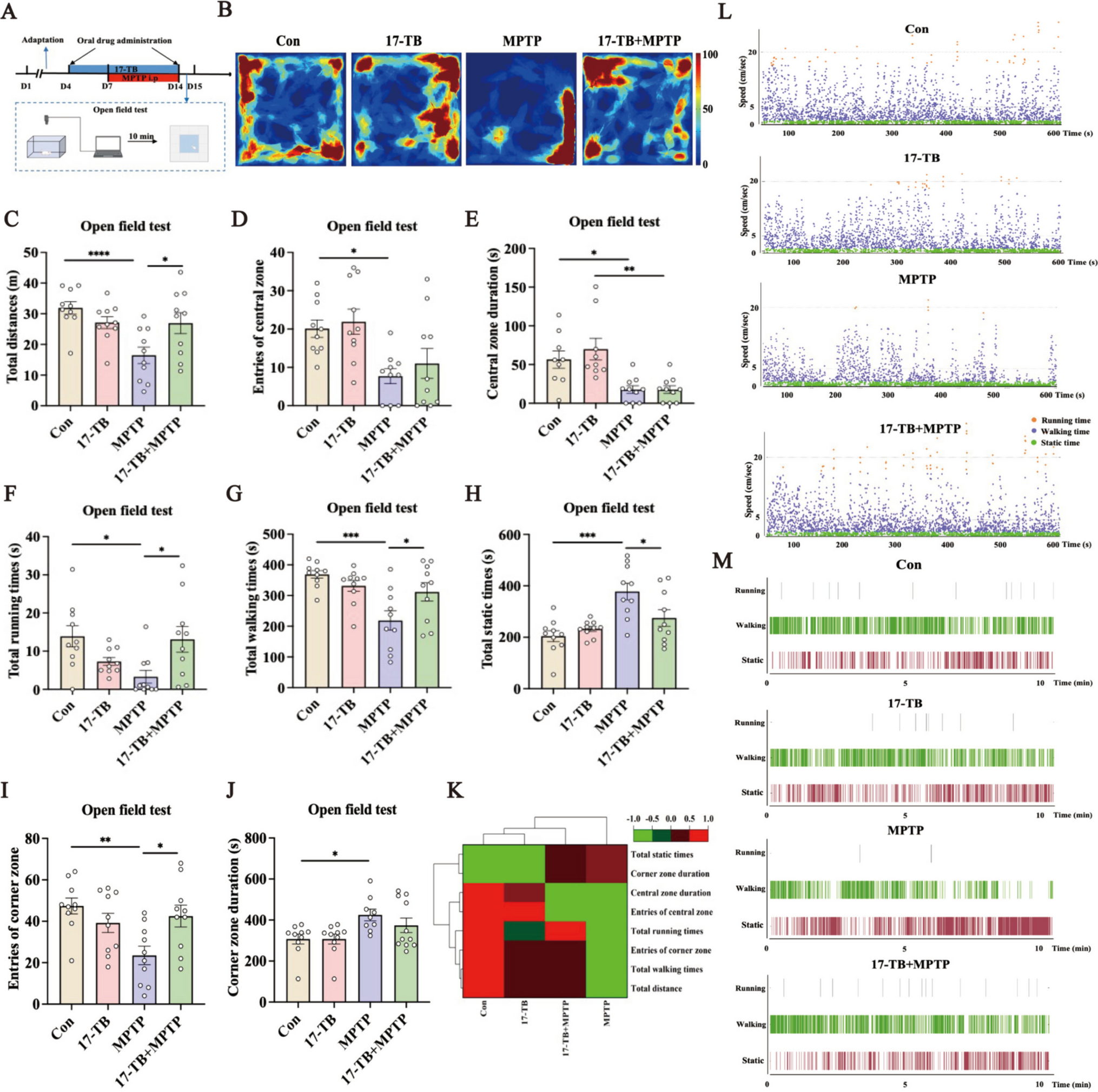 17β-Trenbolone Exposure Enhances Muscle Activity and Exacerbates Parkinson’s Disease Progression in Male Mice