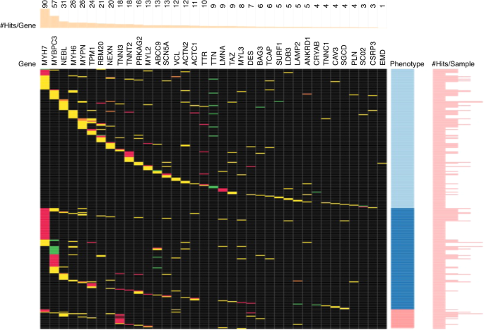 Genomics of pediatric cardiomyopathy