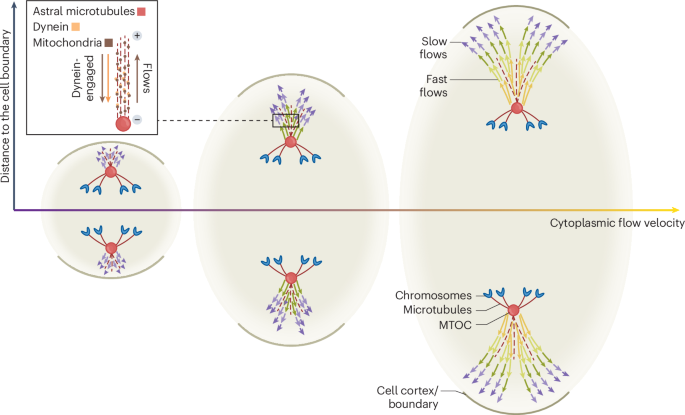 Flow, sense and divide