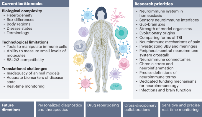 Systems neuroimmunology: current bottlenecks, research priorities and future directions