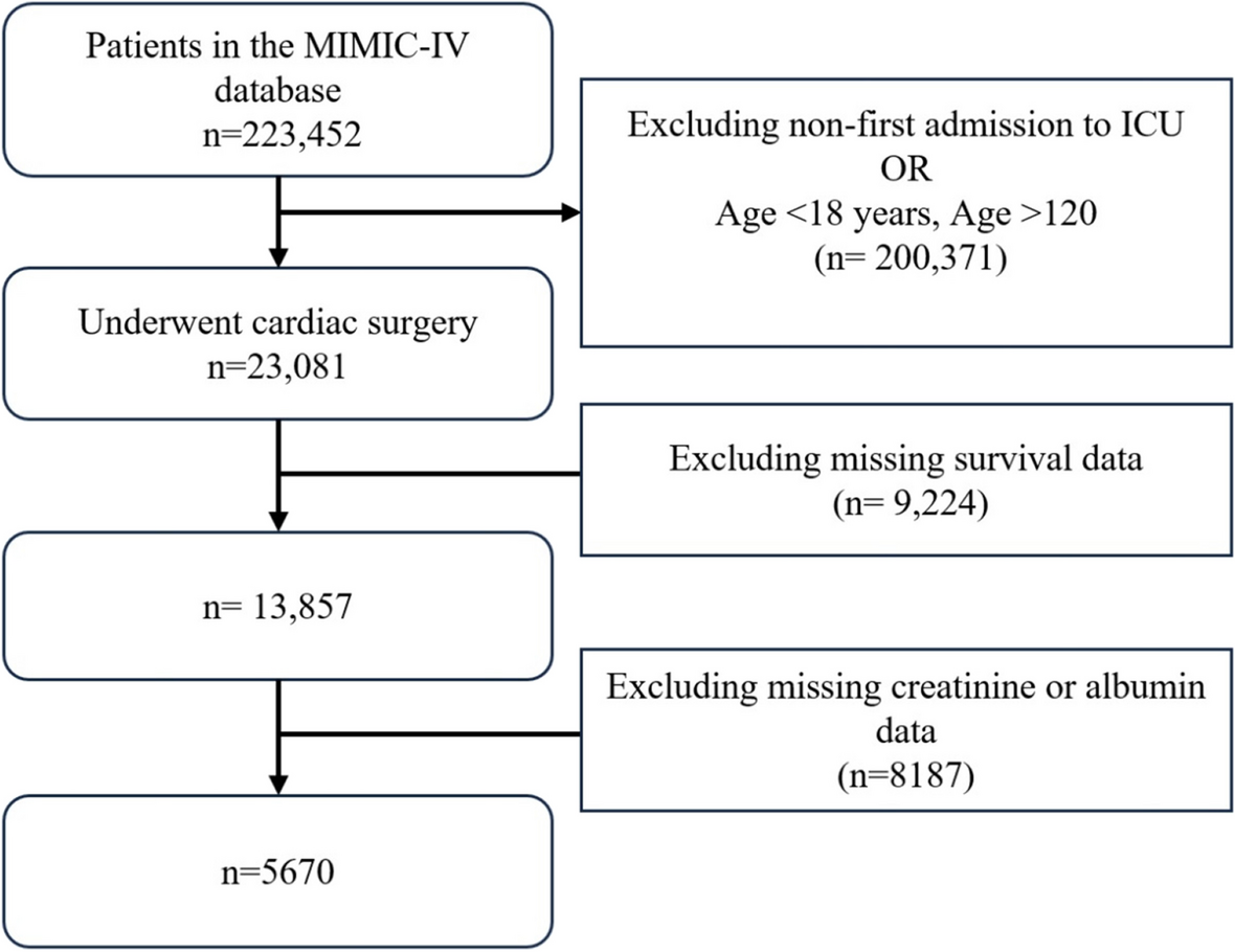 Association between serum creatinine—to—albumin ratio and 28-day mortality in intensive care unit patients following cardiac surgery: analysis of mimic-iv data