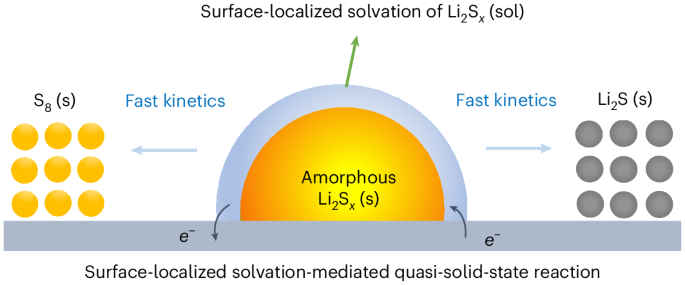 Surface-localized phase mediation accelerates quasi-solid-state reaction kinetics in sulfur batteries