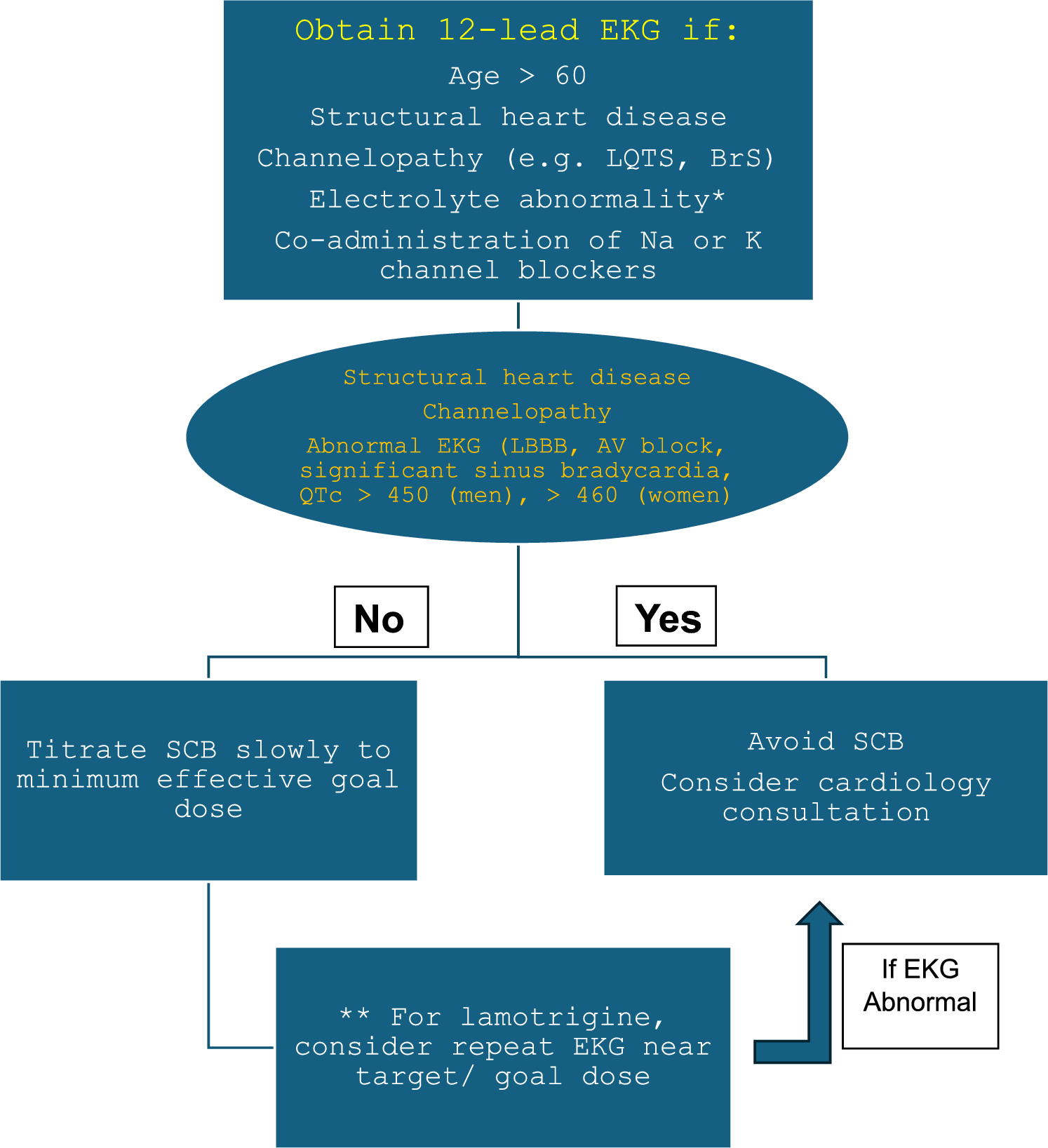 Cardiovascular Effects of Antiseizure Medications for Epilepsy