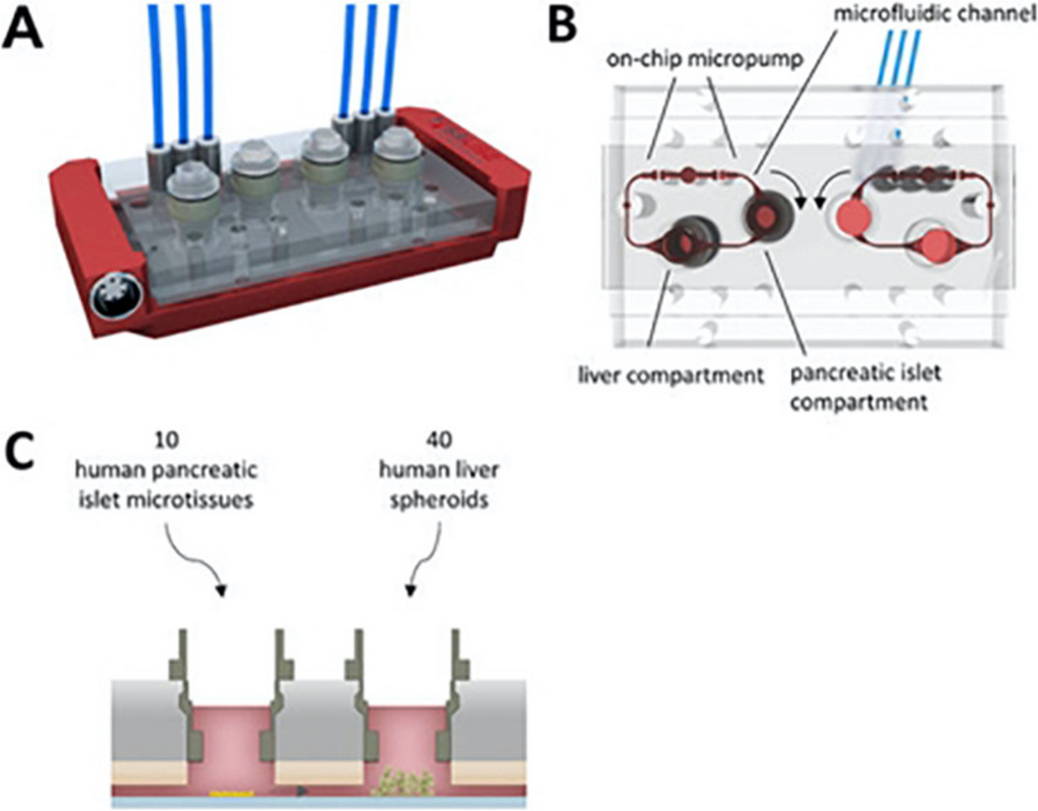 A Comprehensive Review of Contemporary Bioreactors for Vascular Inflammation Studies