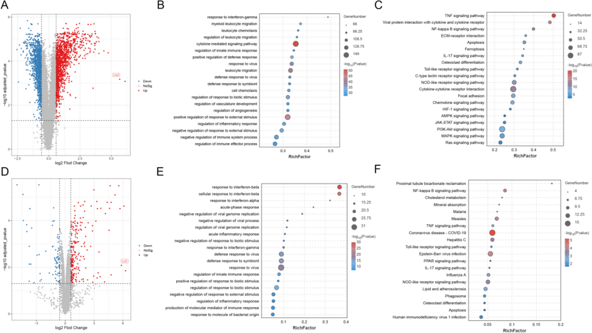 Targeting Lcn2 to Inhibit Myocardial Cell Ferroptosis is a Potential Therapy for Alleviating Septic Cardiomyopathy