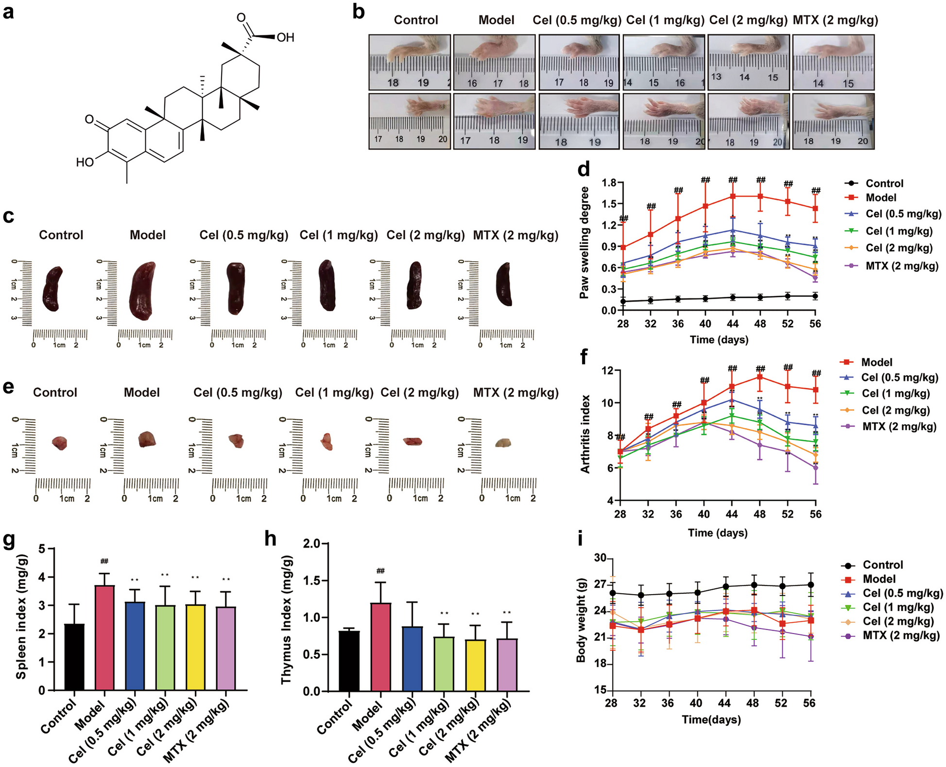 Celastrol Regulates the Hsp90-NLRP3 Interaction to Alleviate Rheumatoid Arthritis