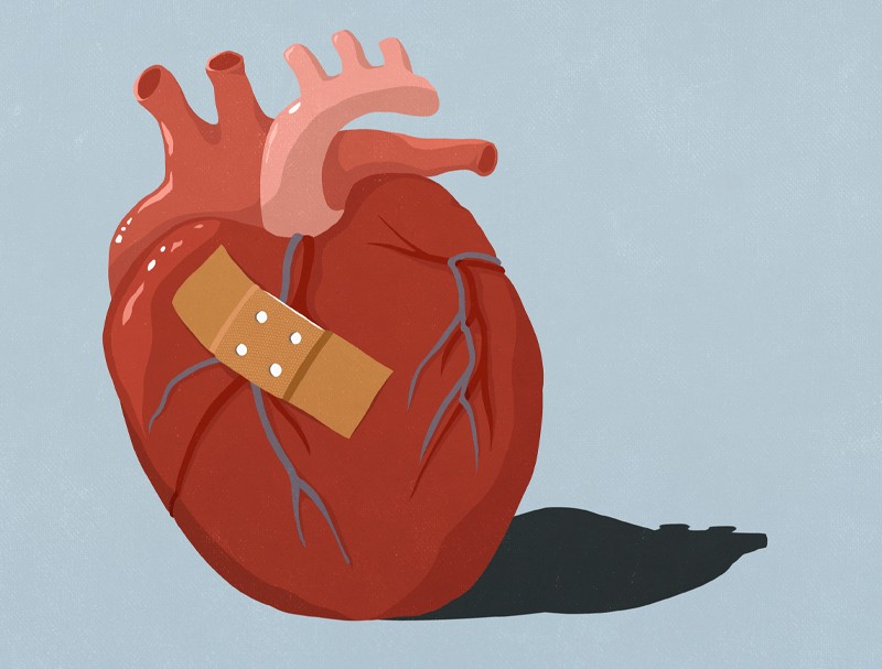 Engineered heart muscle reinvigorates failing hearts