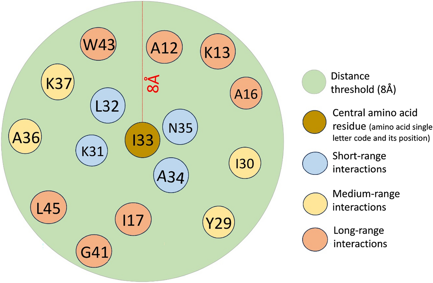 Importance of Inter-residue Contacts for Understanding Protein Folding and Unfolding Rates, Remote Homology, and Drug Design
