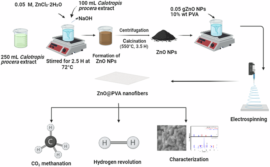 Eco-friendly synthesis of ZnO nanoparticles and ZnO@PVA nanofibers for enhanced hydrogen generation and CO2 conversion